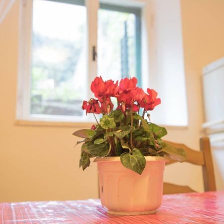 Apartman Juricic ラビン エクステリア 写真