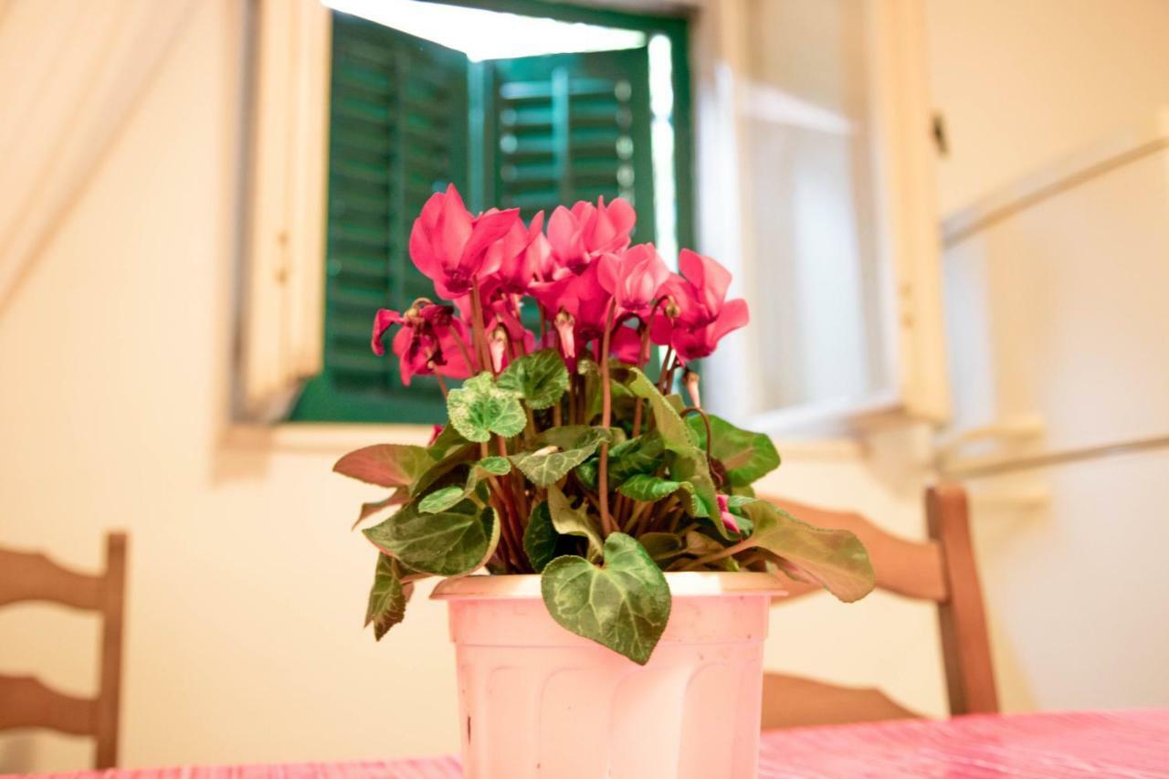 Apartman Juricic ラビン エクステリア 写真